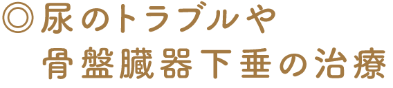 尿のトラブルや骨盤臓器下垂の治療